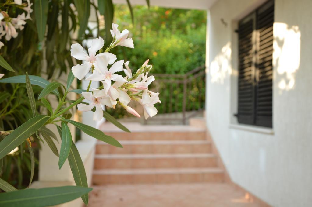 Holiday House Maja Podglavica Ngoại thất bức ảnh